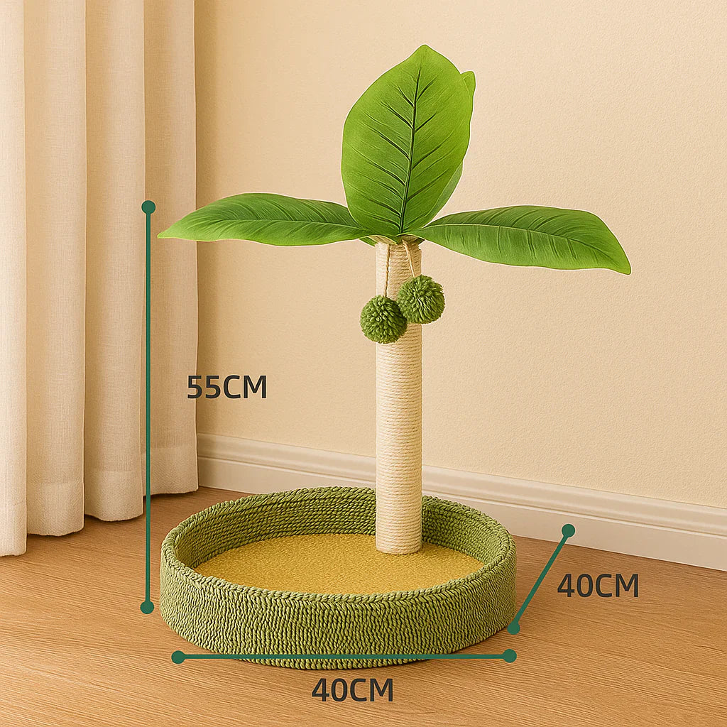 Griffoir chat arbre cocotier