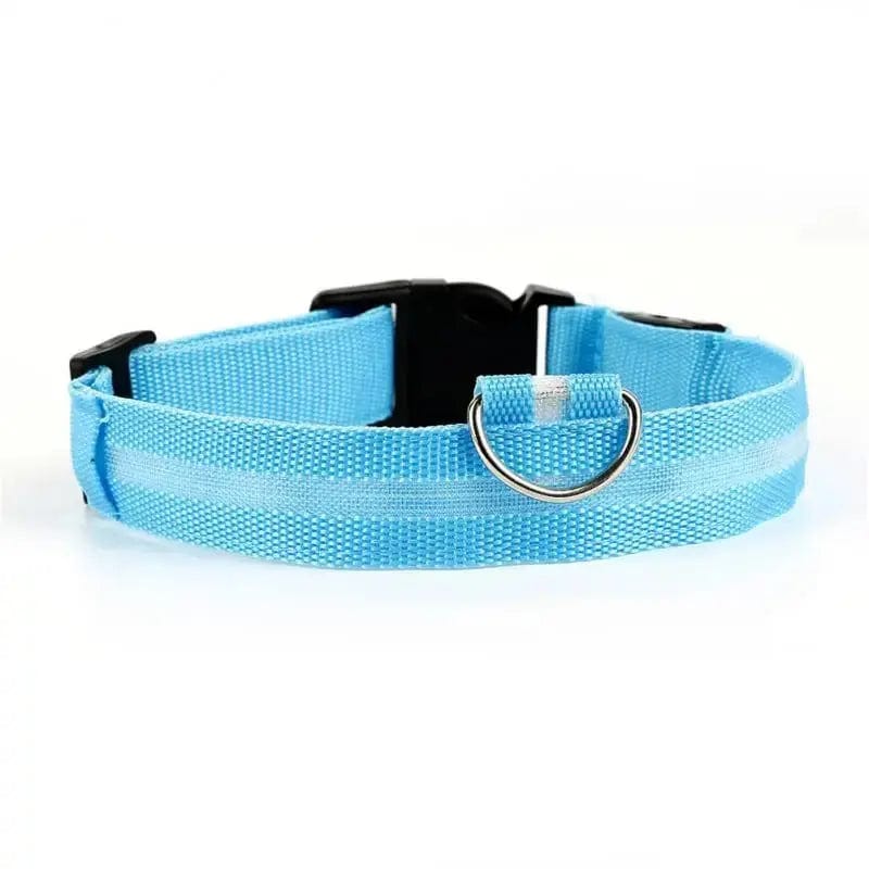 Collier chat lumineux