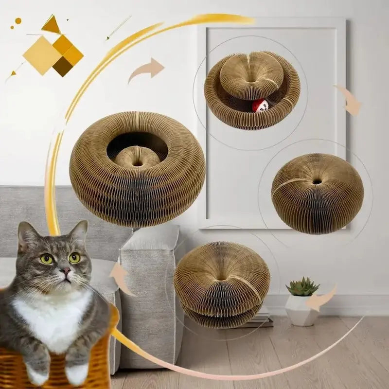 Jouet griffoir chat balle