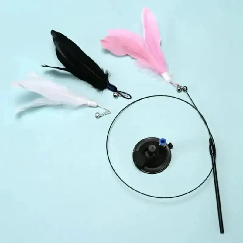 Jouet pour chat plume à ventouse