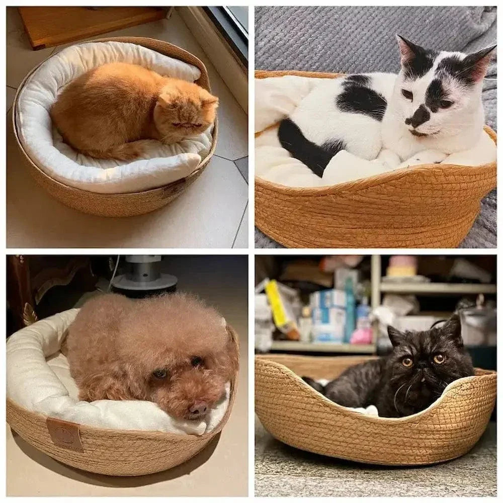 Panier chat bambou naturel