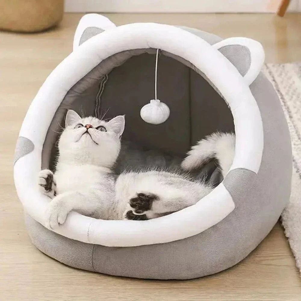 Panier fermé pour chat