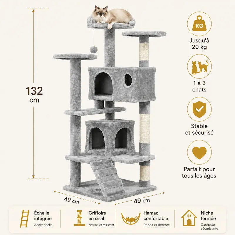 Arbre à chat avec échelle