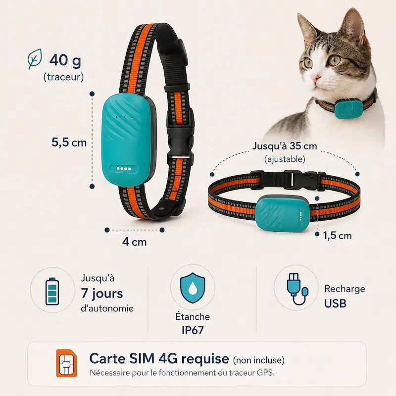 Collier traceur GPS pour chat