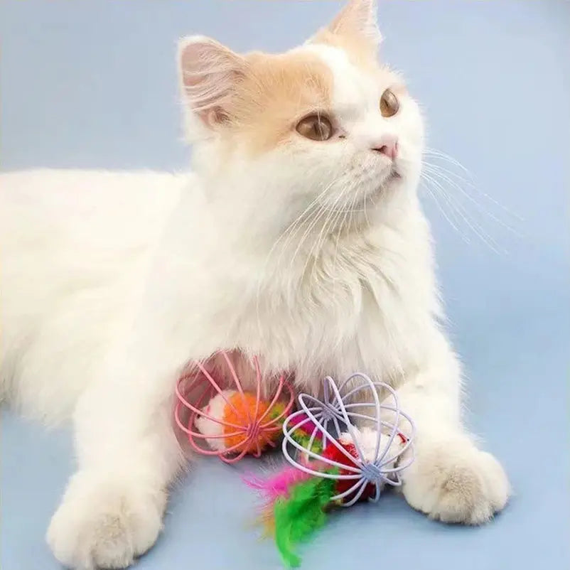 Jouet chat boule souris dedans