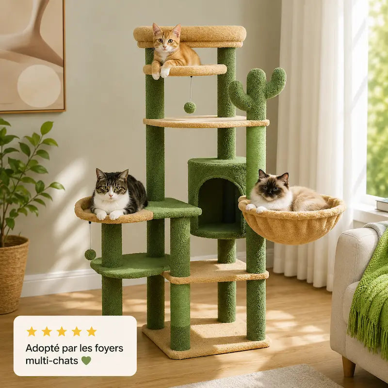 Arbre à chat grande plateforme