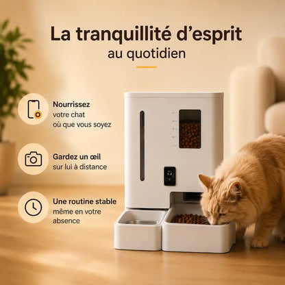 Distributeur automatique eau et croquettes chat
