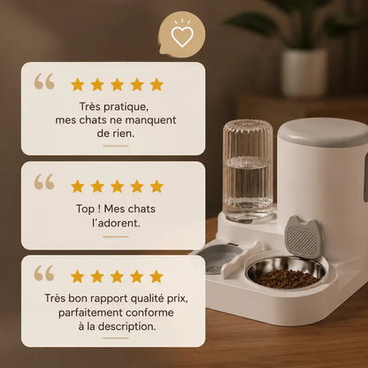 Mangeoire automatique pour chat