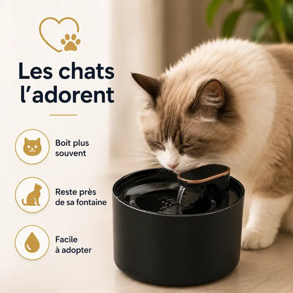 Fontaine à eau chat 3L