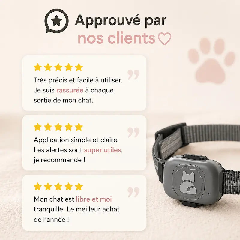 Traceur GPS chat