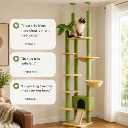 Arbre à chat plafond