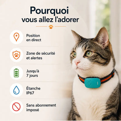 Collier traceur GPS pour chat