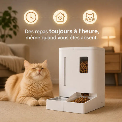 Distributeur automatique eau et croquettes chat