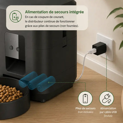Distributeur programmable de croquettes pour chat
