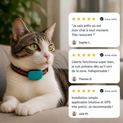 Collier traceur GPS pour chat