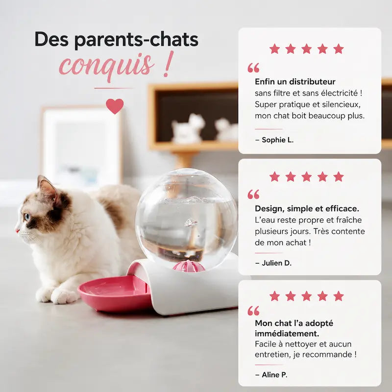 Distributeur eau chat 2,8L