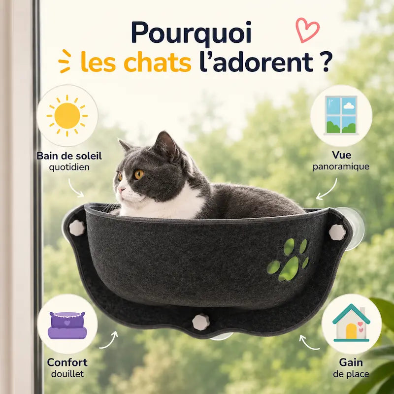 Lit chat fenêtre ventouse