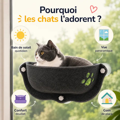 Lit chat fenêtre ventouse