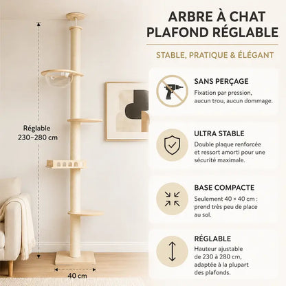 Arbre à chat plafond réglable