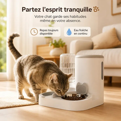 Mangeoire automatique pour chat