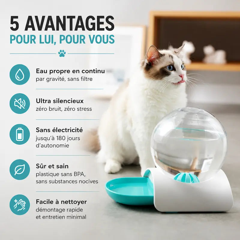 Distributeur eau chat 2,8L