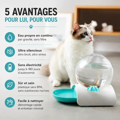 Distributeur eau chat 2,8L