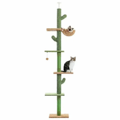 Arbre à chat cactus