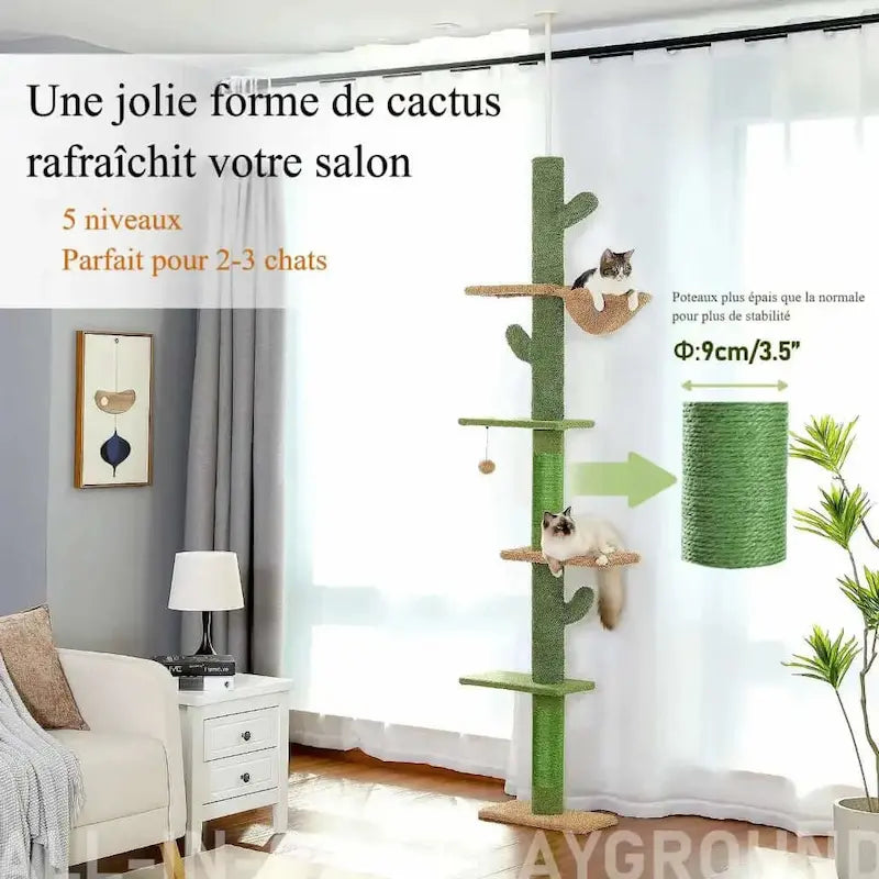 Arbre à chat cactus
