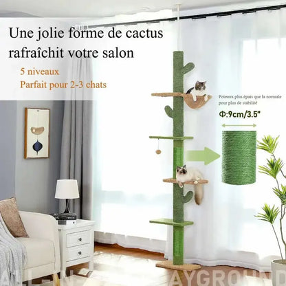 Arbre à chat cactus