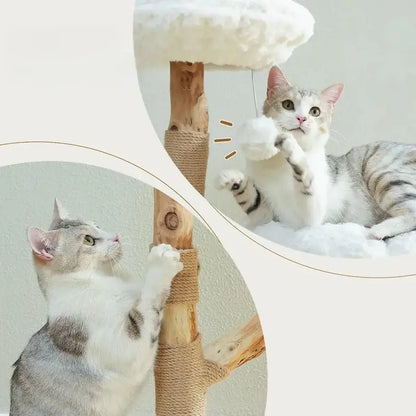 Arbre à chat nuage