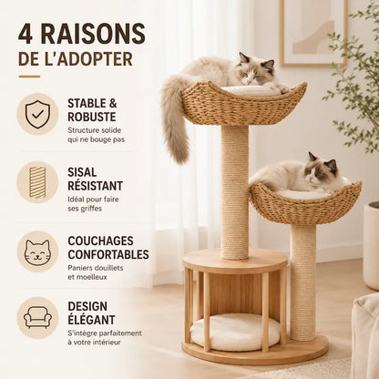 Arbre à chat design luxe