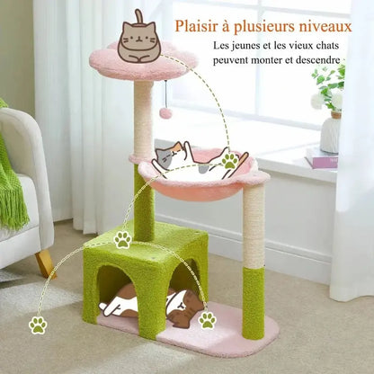 Arbre à chat fleur