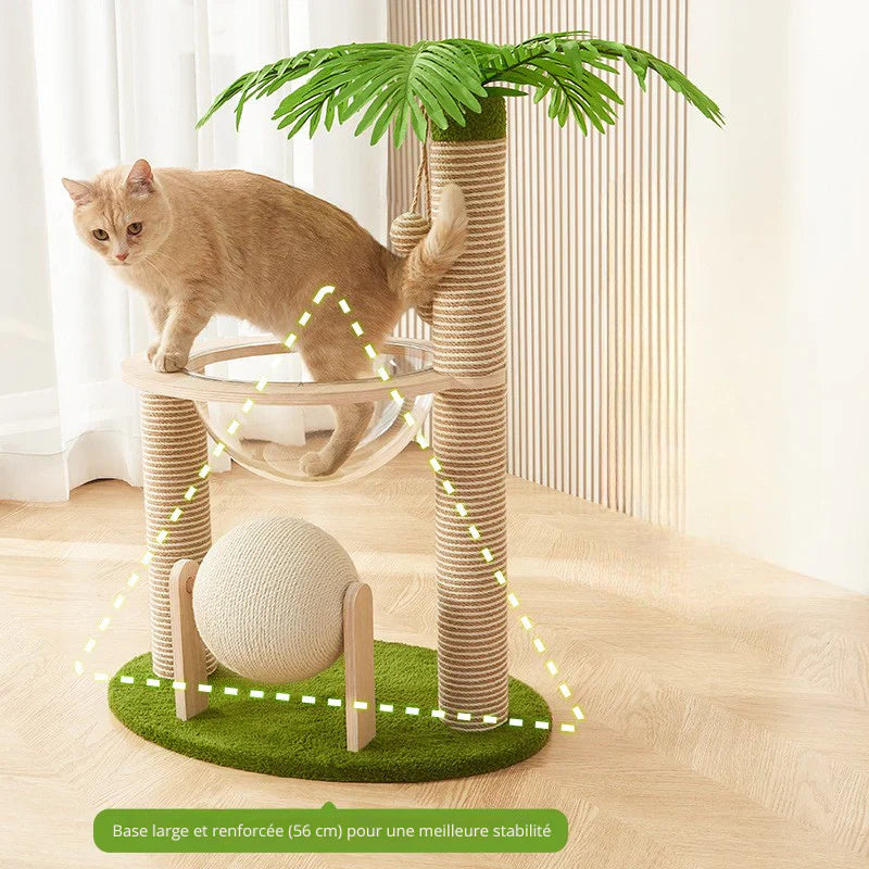 Griffoir chat cocotier