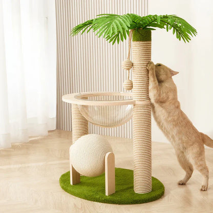 Griffoir chat cocotier