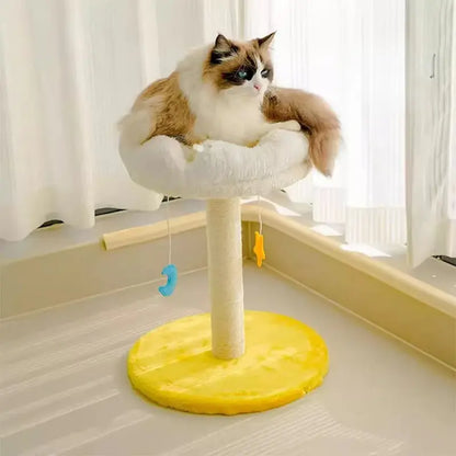 Griffoir chat nuage étoilé