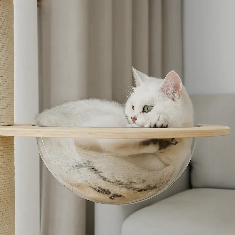 Arbre à chat plafond réglable