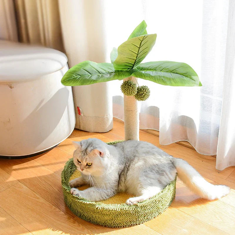 Griffoir chat arbre cocotier