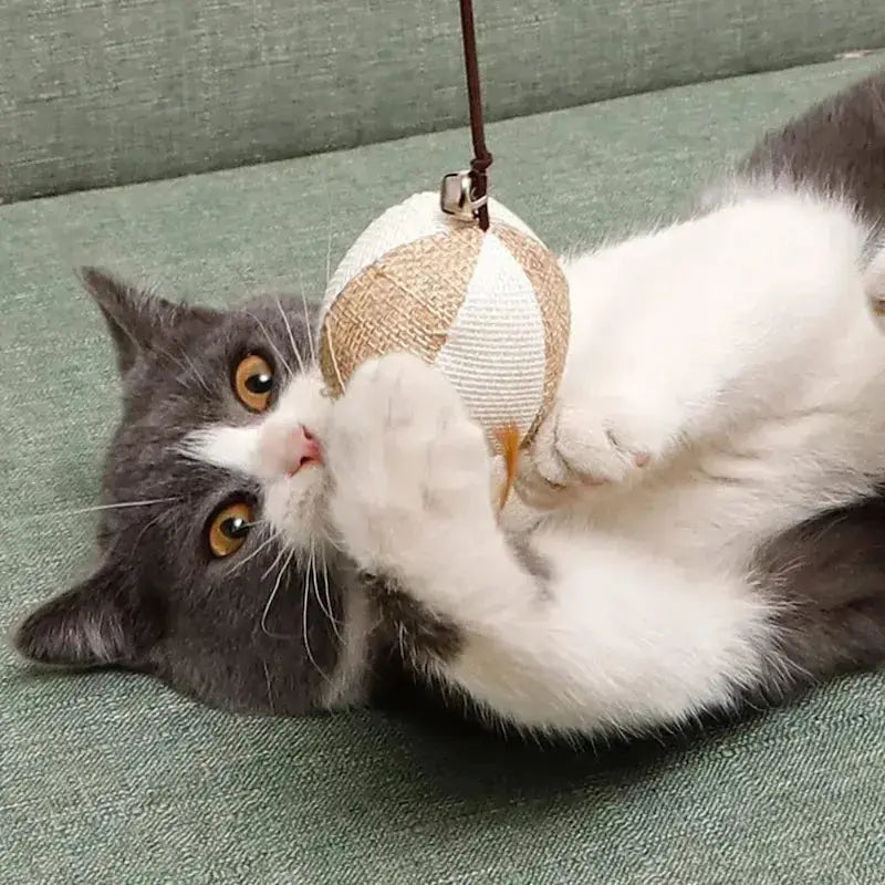 Baguette magique chat bois