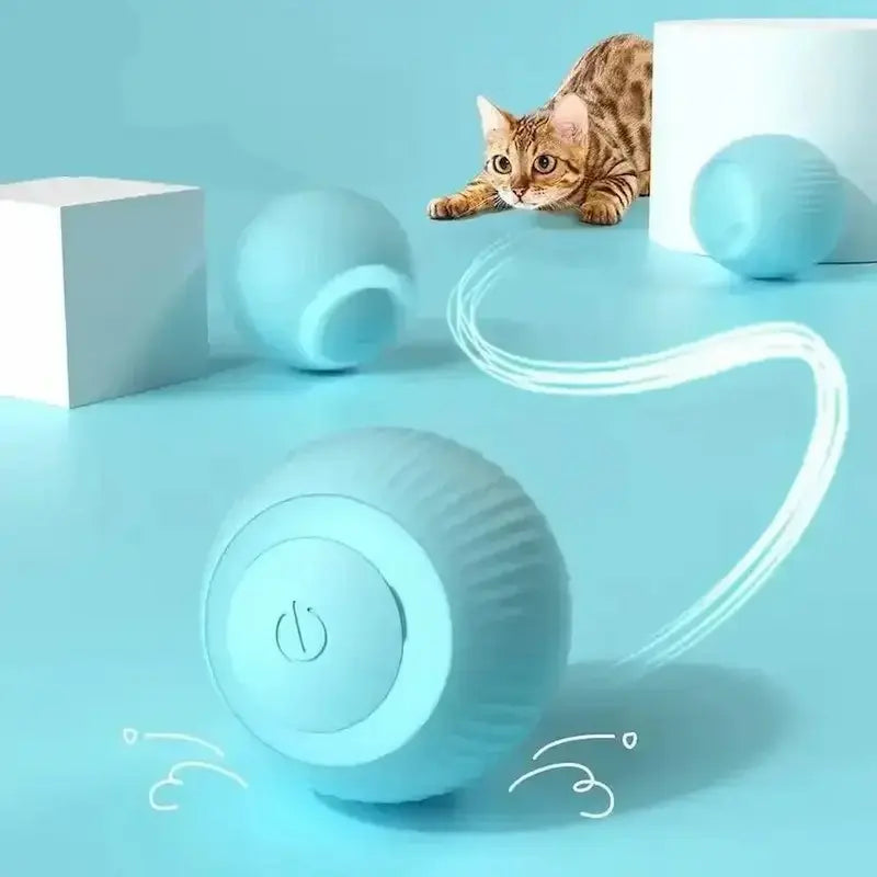 Balle interactive chat - Anti-ennui | FéliPlay