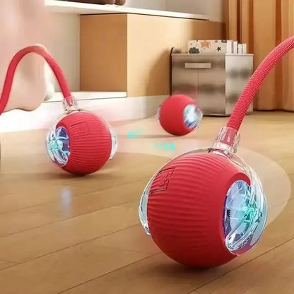 Balle magique pour chat