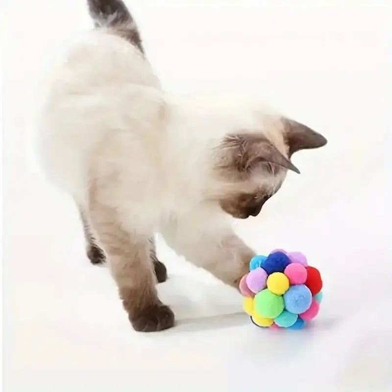 Balle pour chat colorée