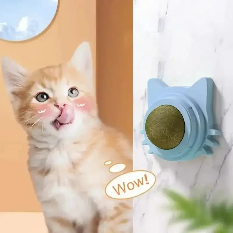 Boule herbe à chat murale - Effet irrésistible | NipWall