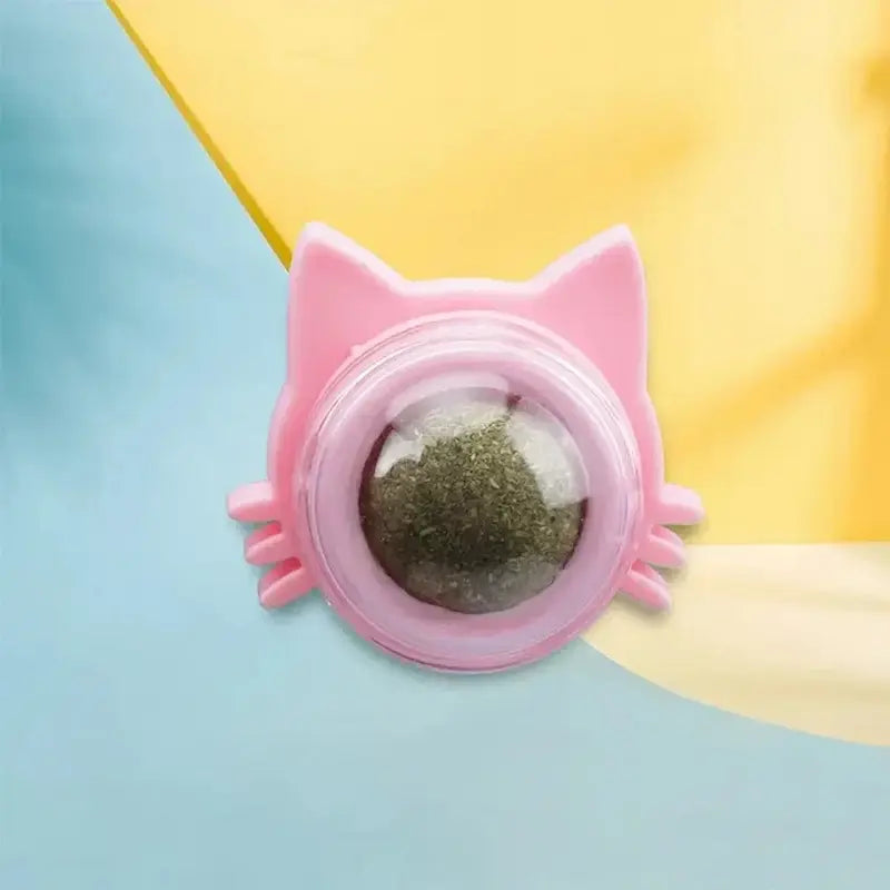 Boule herbe à chat murale