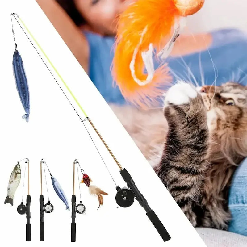 Canne à pêche pour chat