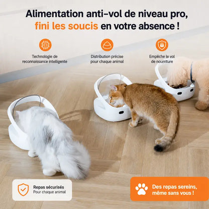 Distributeur croquettes sur mesure multi-animaux
