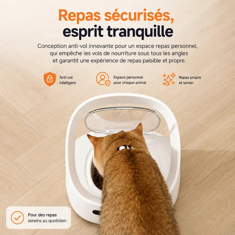 Distributeur croquettes sur mesure multi-animaux