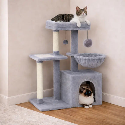 Petit arbre à chat