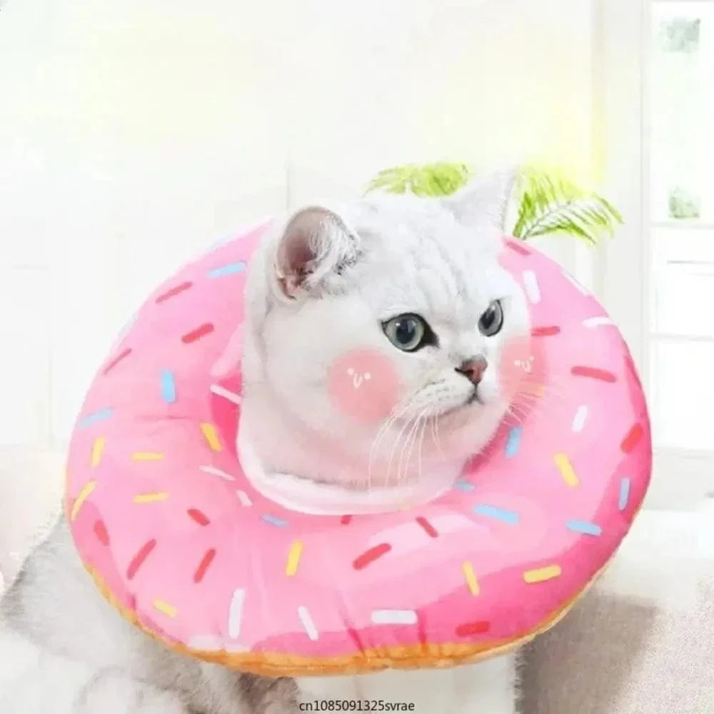 Collerette bouée chat