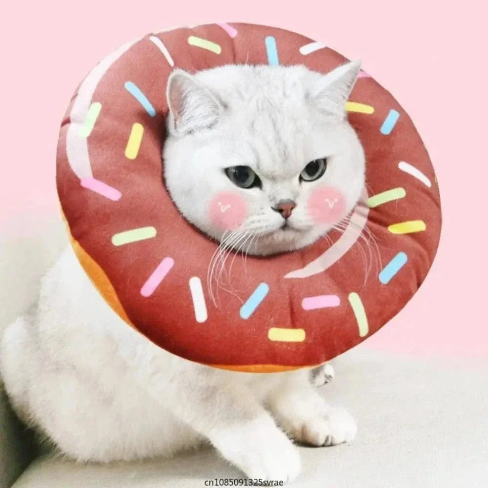 Collerette bouée chat