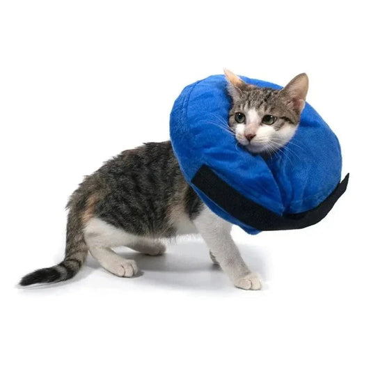 Collerette gonflable pour chat - Confort optimal | AirCone